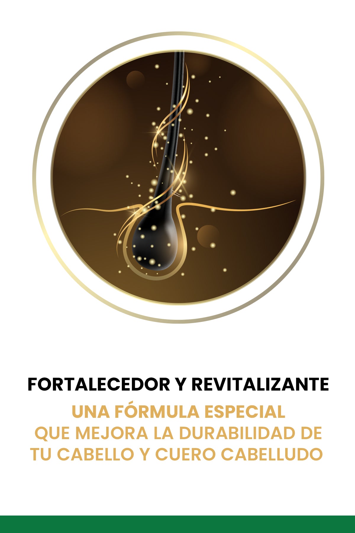 Champú Anticaída 250 ml - Fórmula Voluminizadora y Nutritiva con Ginkgo Biloba y Glutatión