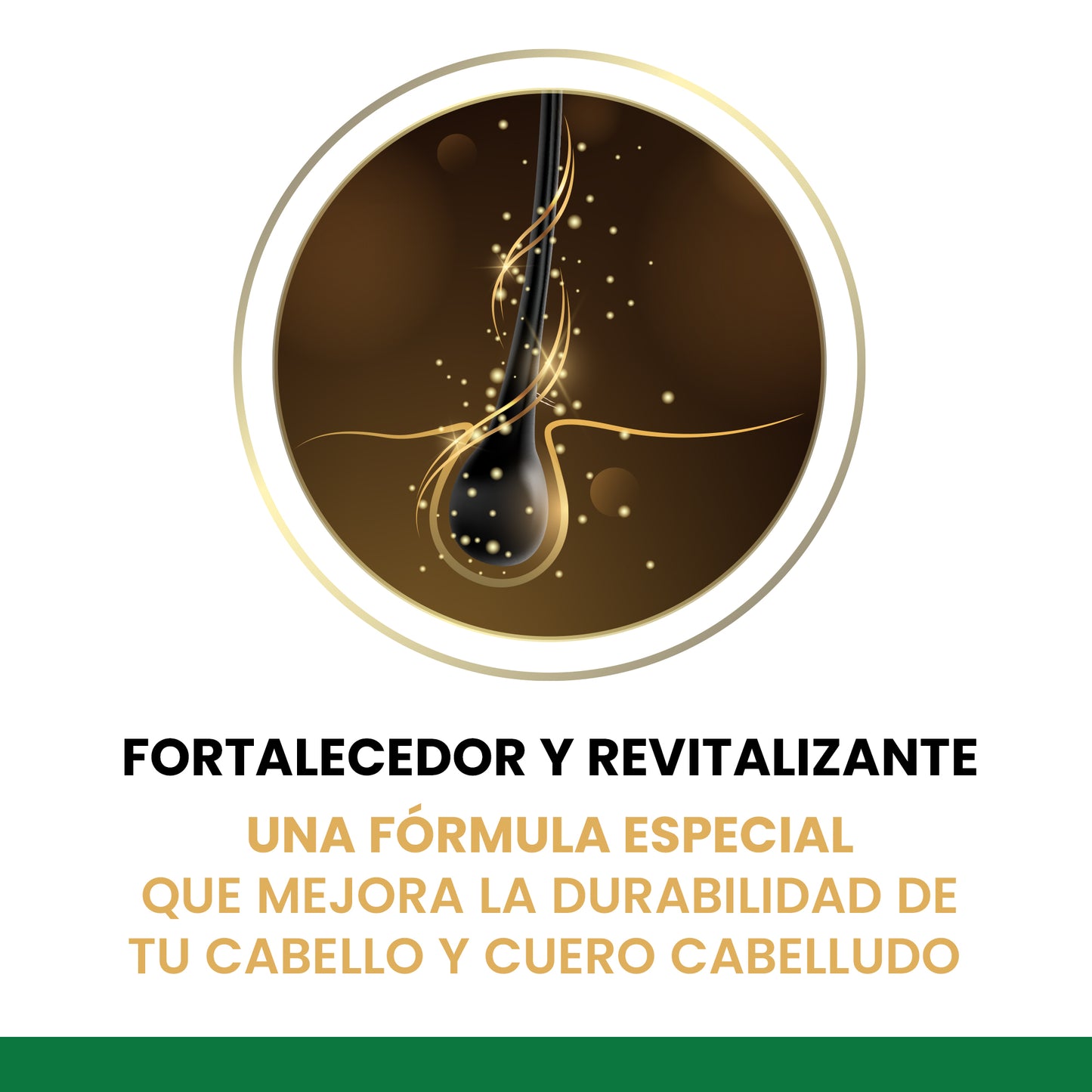 Champú Anticaída 500 ml - Fórmula Voluminizadora y Nutritiva con Ginkgo Biloba y Glutatión