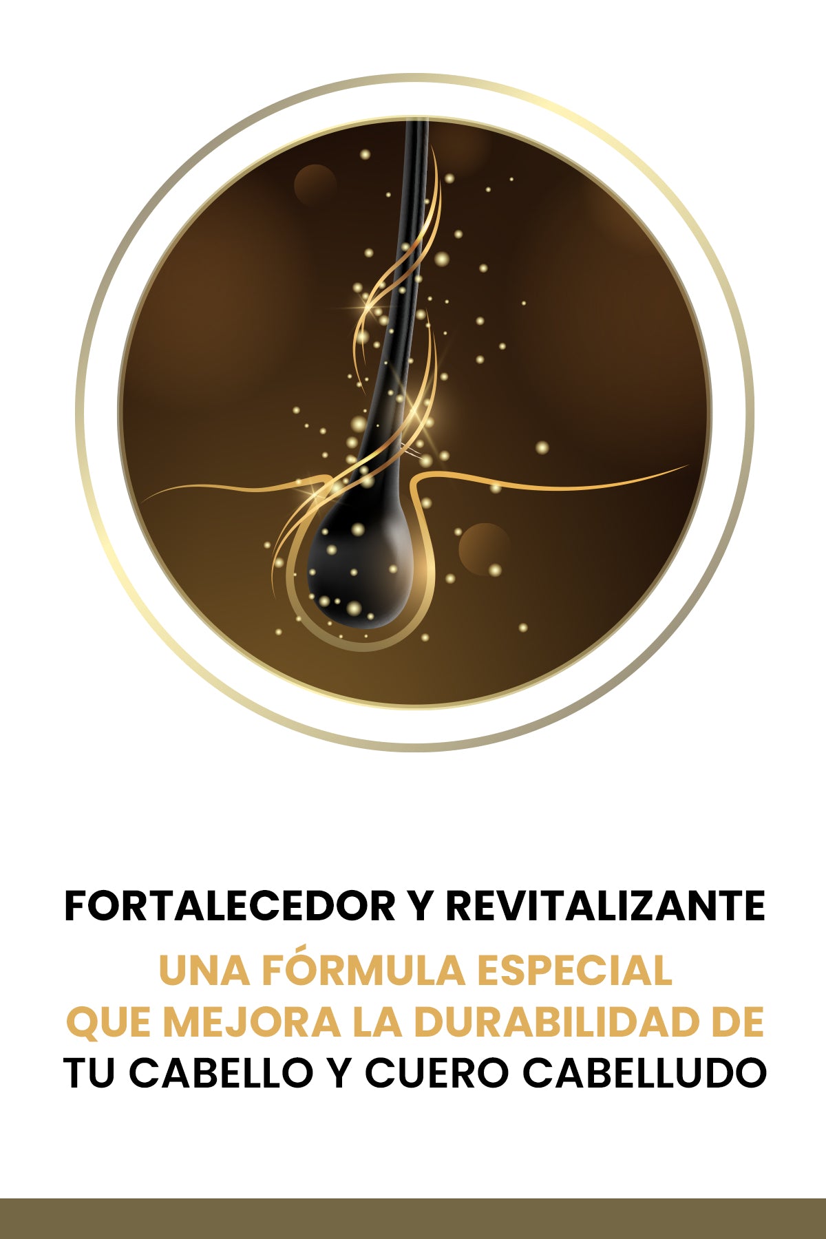 Champú Provitamina B5 de 500 ML sin sulfatos profundamente nutritivo
