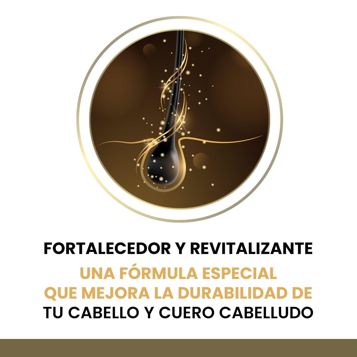 Champú Provitamina B5 de 500 ML sin Sulfatos Profundamente Putritivo