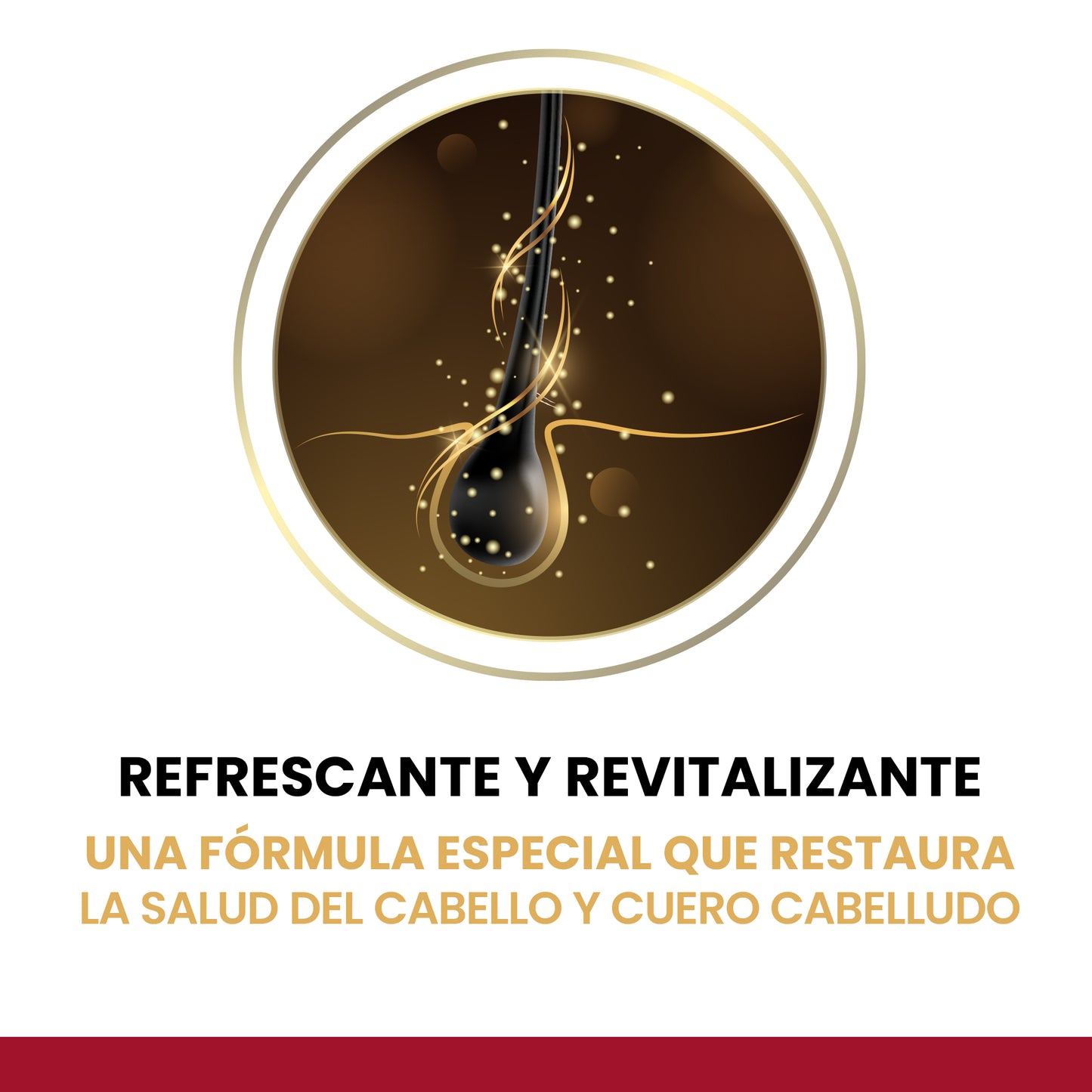 Champú Anticaspa 500 ml - Fórmula Nutritiva con Extracto de Flor de Manzanilla & Vitamina B3