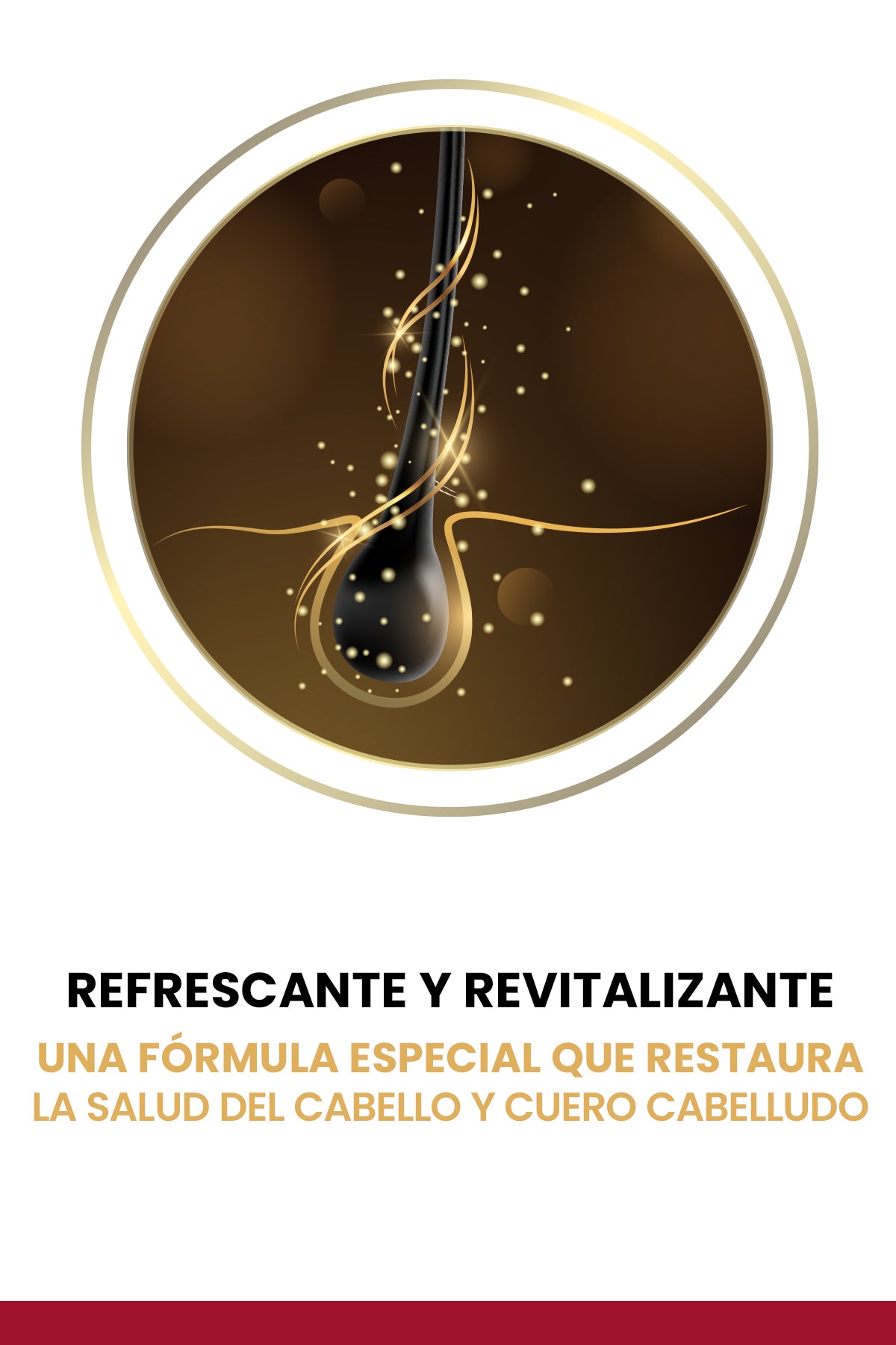 Champú Anticaspa 250 ml - Fórmula Nutritiva con Extracto de Flor de Manzanilla & Vitamina B3