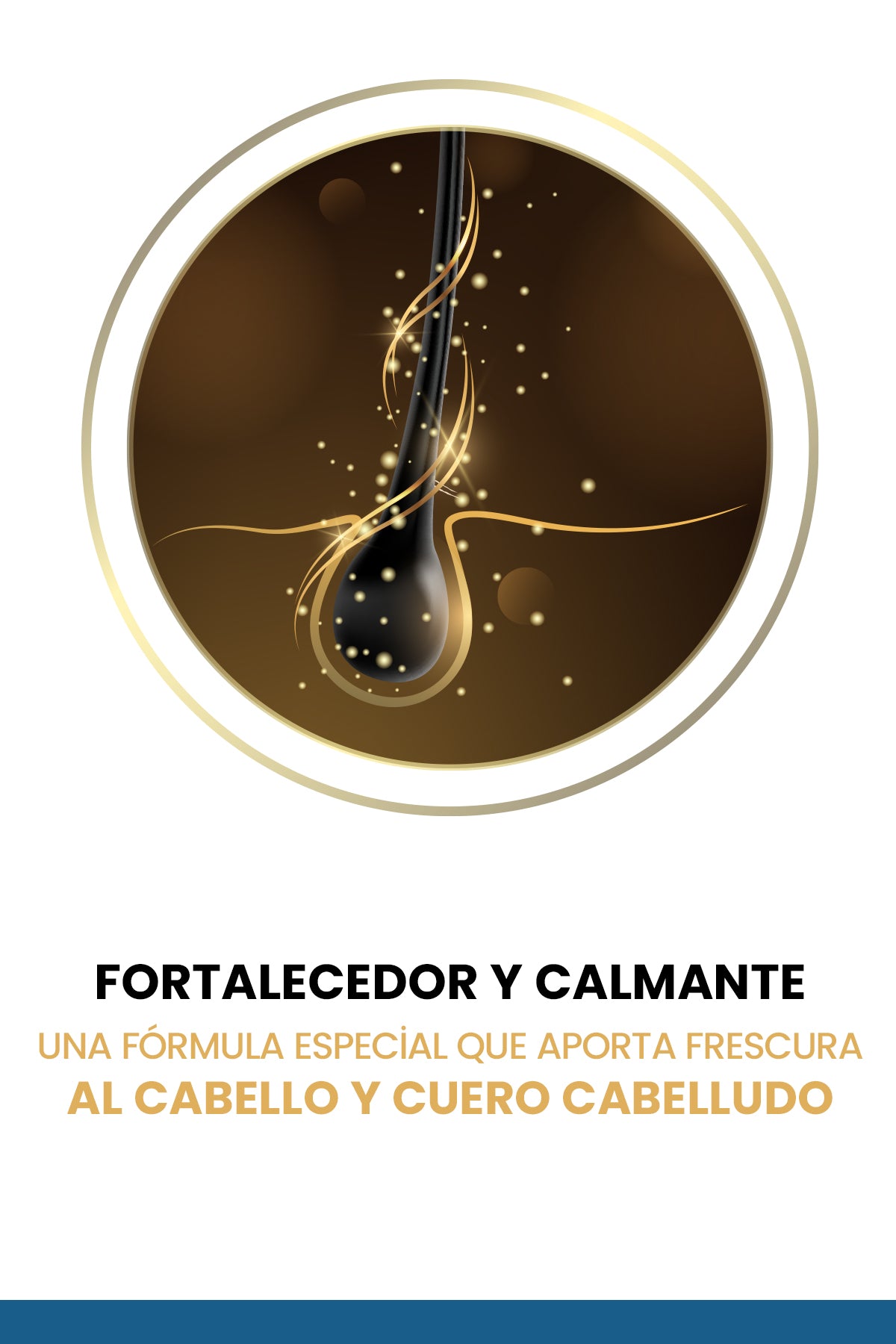 Champú Antigrasa 250 ML