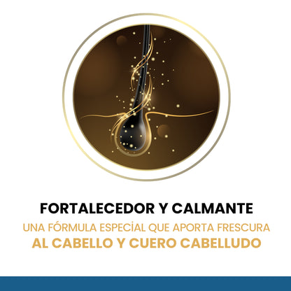 Champú Antigrasa 500 ML